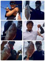 YELLOW-TAIL　イエローテール 釣果