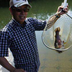 フィッシングレイクたかみや 釣果