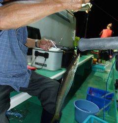 第二むつ漁丸 釣果