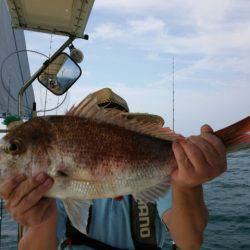 遊漁船　ニライカナイ 釣果