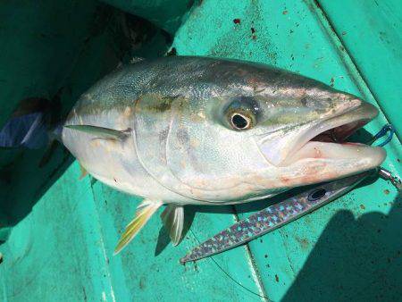 広進丸 釣果
