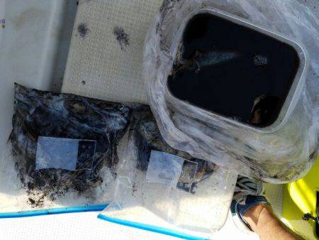 Magic(マジック) 釣果