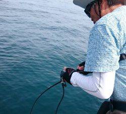 IDATEN（イダテン） 釣果