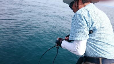 IDATEN（イダテン） 釣果