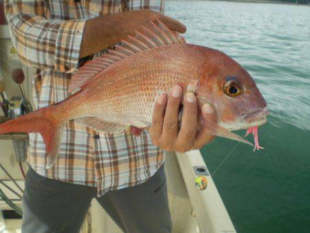 弘福丸 釣果
