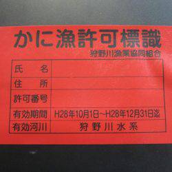 狩野川（狩野川漁業協同組合） 釣果