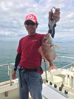 YELLOW-TAIL イエローテール 釣果