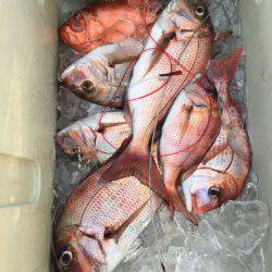 龍宮丸 釣果