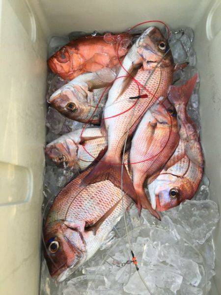 龍宮丸 釣果