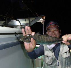 第二むつ漁丸 釣果