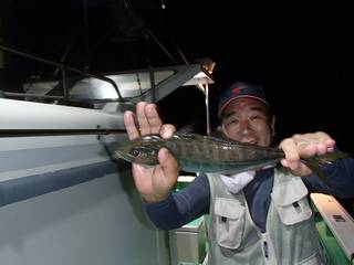 第二むつ漁丸 釣果