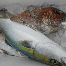 こうゆう丸 釣果