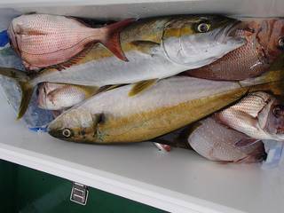 第二むつ漁丸 釣果