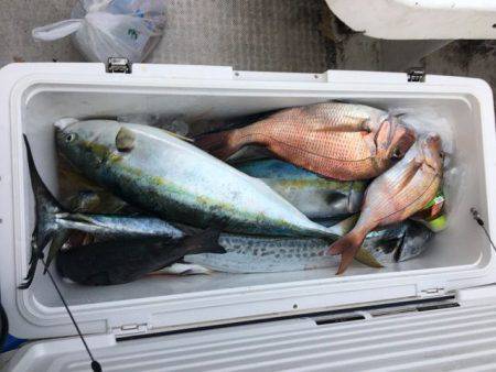 龍宮丸 釣果