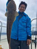 YELLOW-TAIL　イエローテール 釣果