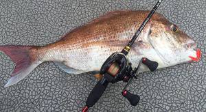 YELLOW-TAIL　イエローテール 釣…