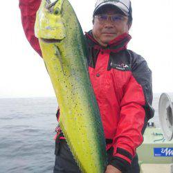 気仙沼　つり丸 釣果