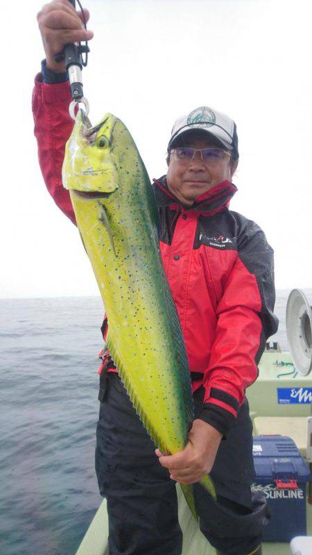 気仙沼　つり丸 釣果