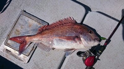 IDATEN(イダテン) 釣果