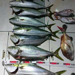 スカイマリン 釣果