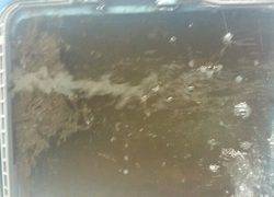 ディープ オーシャン 釣果