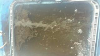 ディープ オーシャン 釣果