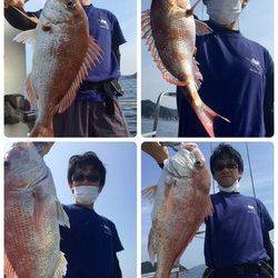 YELLOW-TAIL　イエローテール 釣果