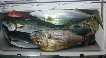 スカイマリン 釣果