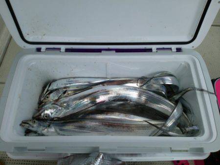 遊漁船 ニライカナイ 釣果