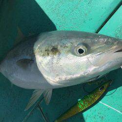 広進丸 釣果
