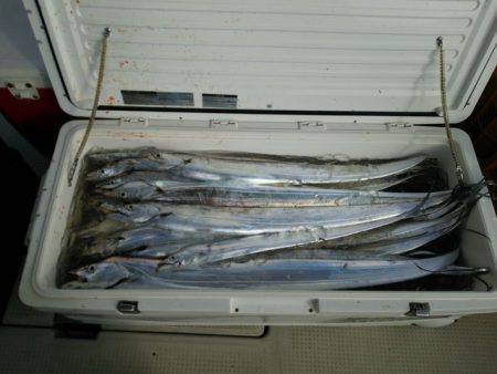 遊漁船　ニライカナイ 釣果