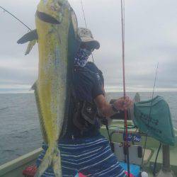 気仙沼　つり丸 釣果