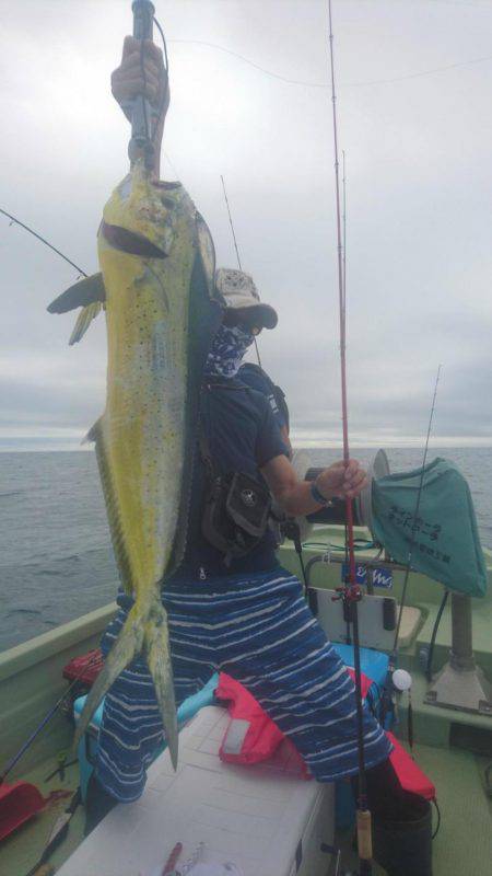 気仙沼　つり丸 釣果