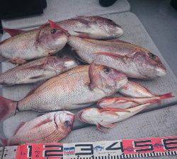 IDATEN(イダテン) 釣果