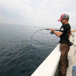 オーシャンズ　京都 釣果
