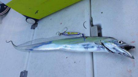 暁〜akatsuki〜 釣果