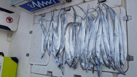 暁〜akatsuki〜 釣果