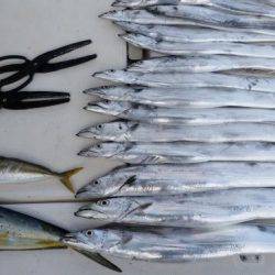 暁〜akatsuki〜 釣果