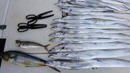 暁〜akatsuki〜 釣果