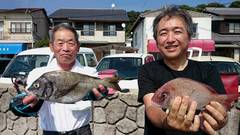 まこと渡船 釣果