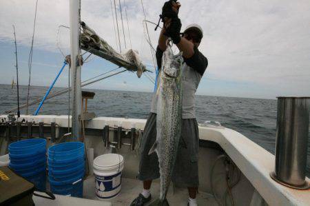 オーシャンズ　京都 釣果