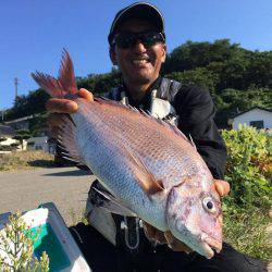 由良渡船 釣果