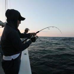 オーシャンズ　京都 釣果