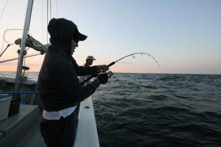 オーシャンズ　京都 釣果