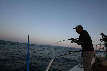 オーシャンズ　京都 釣果