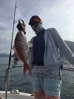 YELLOW-TAIL イエローテール 釣果