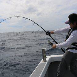 へいみつ丸 釣果