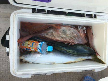 龍宮丸 釣果
