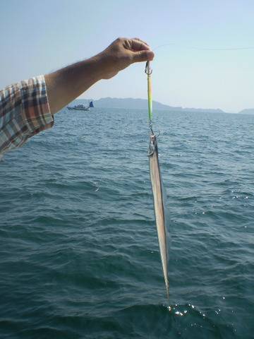 弘福丸 釣果
