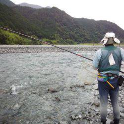 安倍川・藁科川(安倍藁科川漁業協同組合) 釣果